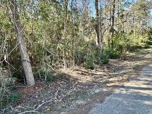 Tbd Gazelle, Onalaska, TX 77360