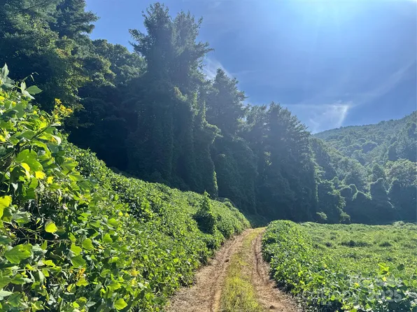 2252 Cutshall Town Rd, Marshall, NC 28753