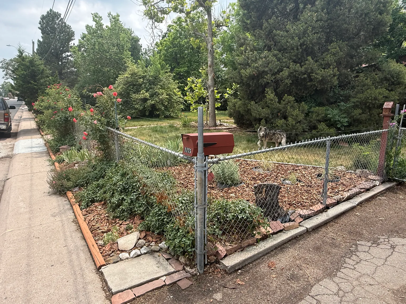 3 bed, 1336 sqft, $950 — Photo 4