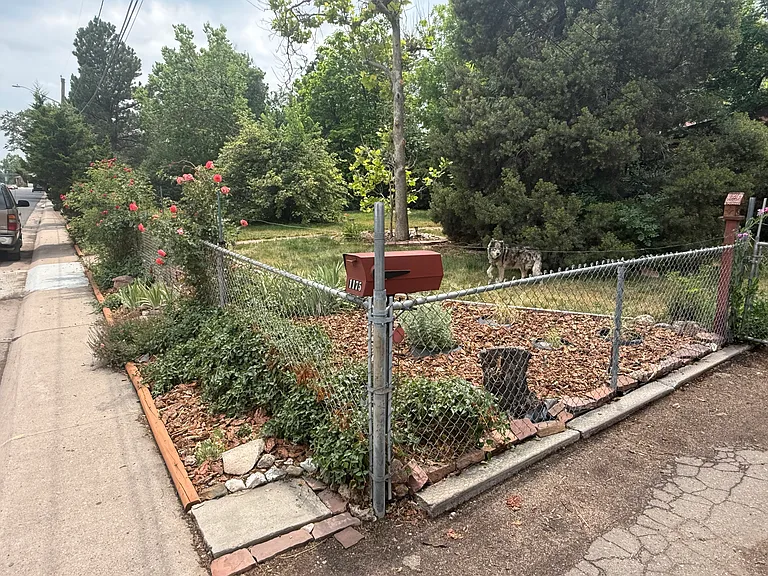 1175 S Dale Ct — Photo 12