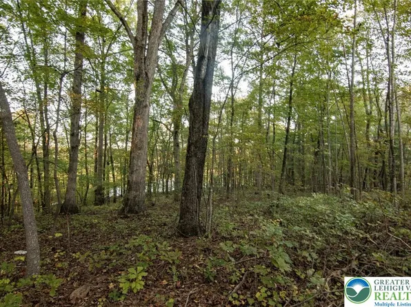 707 Walnut Ln, Albrightsville, PA 18210