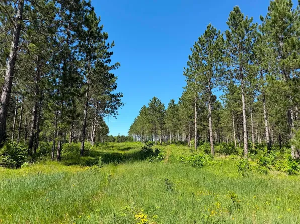 10998 Grange Rd NW, Bemidji, MN 56601