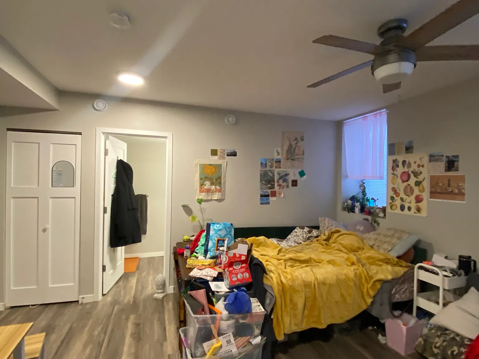 Studio, $909 — Photo 2