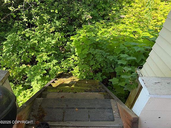 5th image of 347 Cassiar St