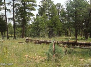 Lost Way, Overgaard, AZ 85933