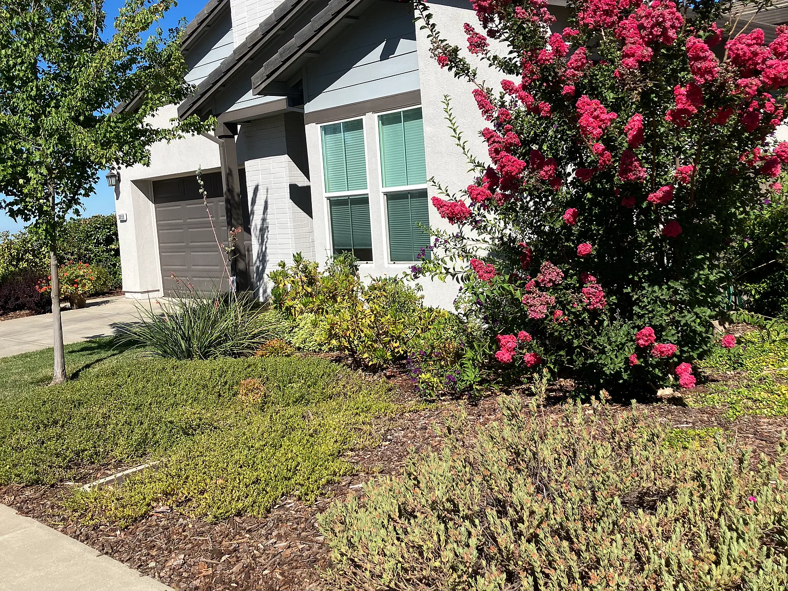 3 bed, 2.5 bath, 2051 sqft, $3,800 — Photo 2