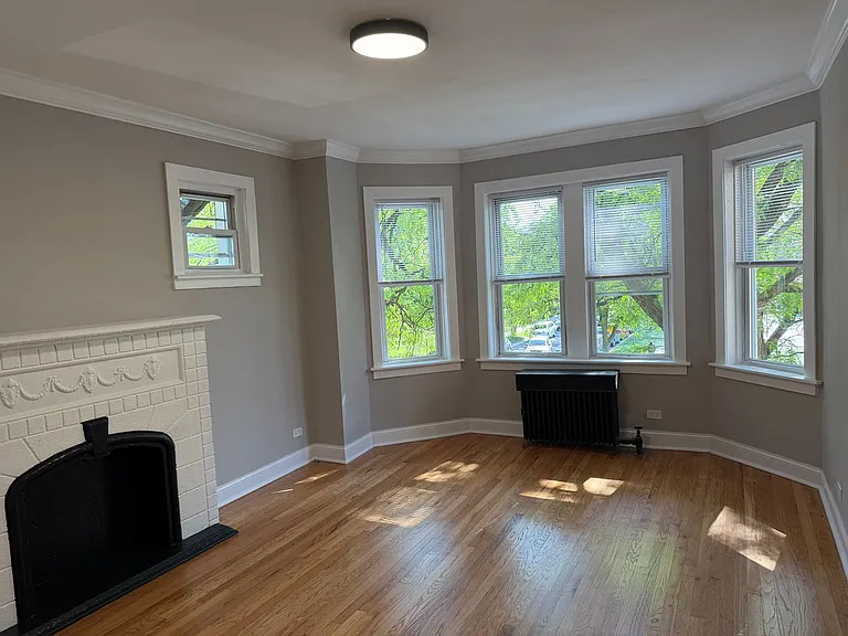Albany Park Apartments! — Photo 4
