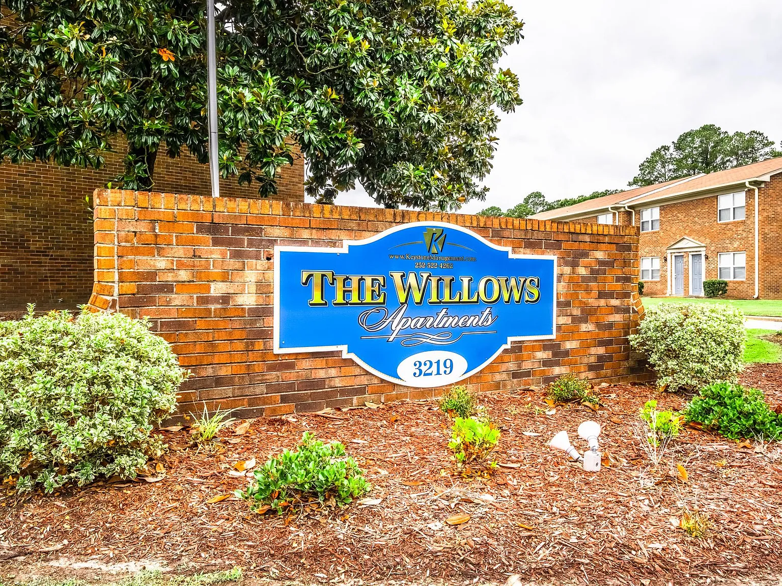 The Willows — Photo 3