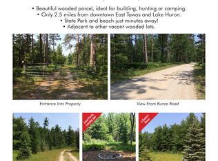 Kunze Rd, East Tawas, MI 48730