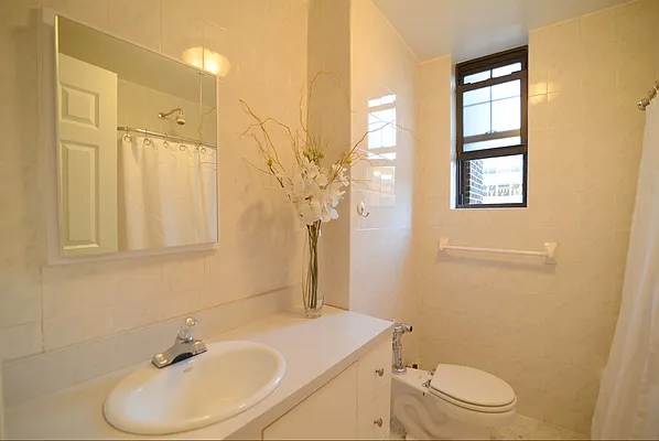 Sold by Carol E Levy | media 3