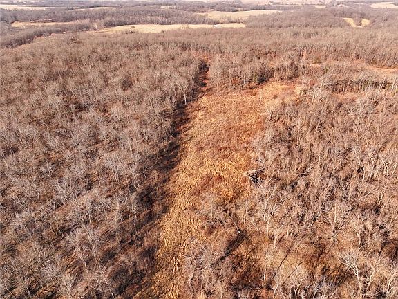 5th image of 21775 S 725th Rd