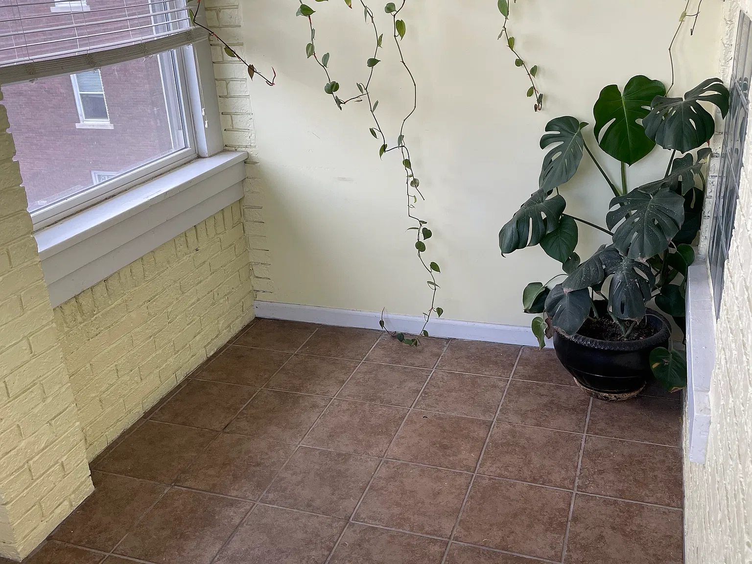 1 bed, 650 sqft, $1,200 — Photo 4