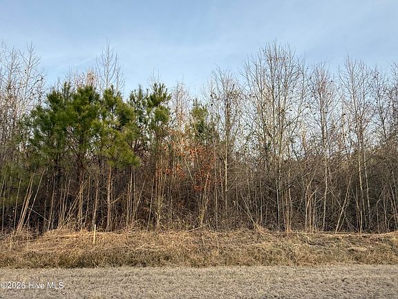 4th image of 15 Beasley Rd