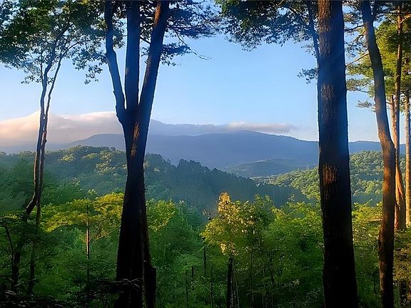 3rd image of 3 Gold Ridge Trl