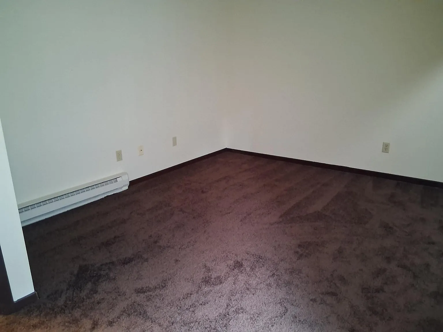 2 bed, $750 — Photo 3