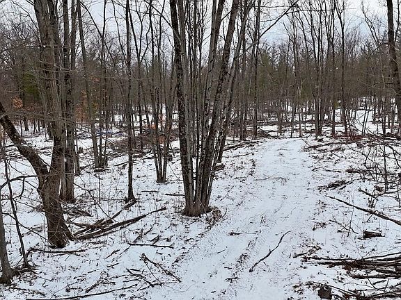 2nd image of E Long Lake Rd #V/l
