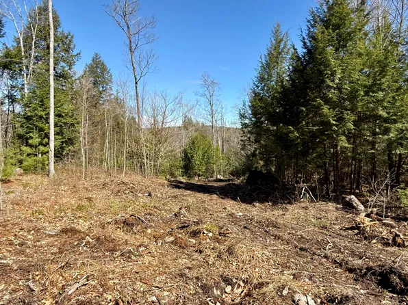 Map8Lot53B Buckfield Road, Paris, ME 04271