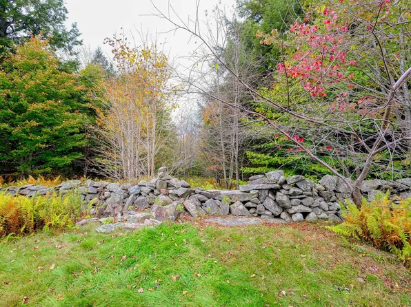 0 Shunpike Road, Mount Holly, VT 05758