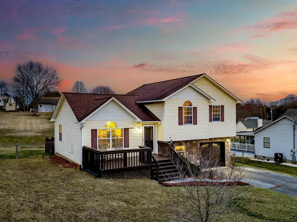 254 Springview Dr, Gray, TN 37615