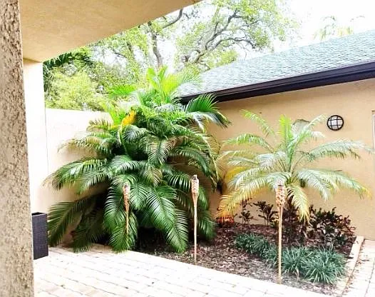 3 bed, 2.5 bath, 1739 sqft, $3,800 — Photo 3