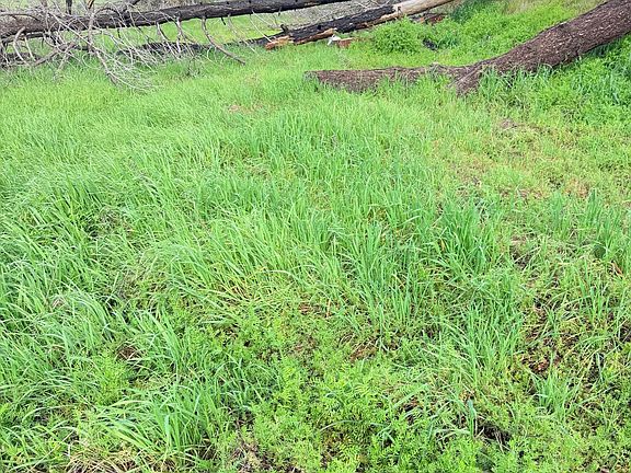 5th image of 15782 Stagecoach Rd