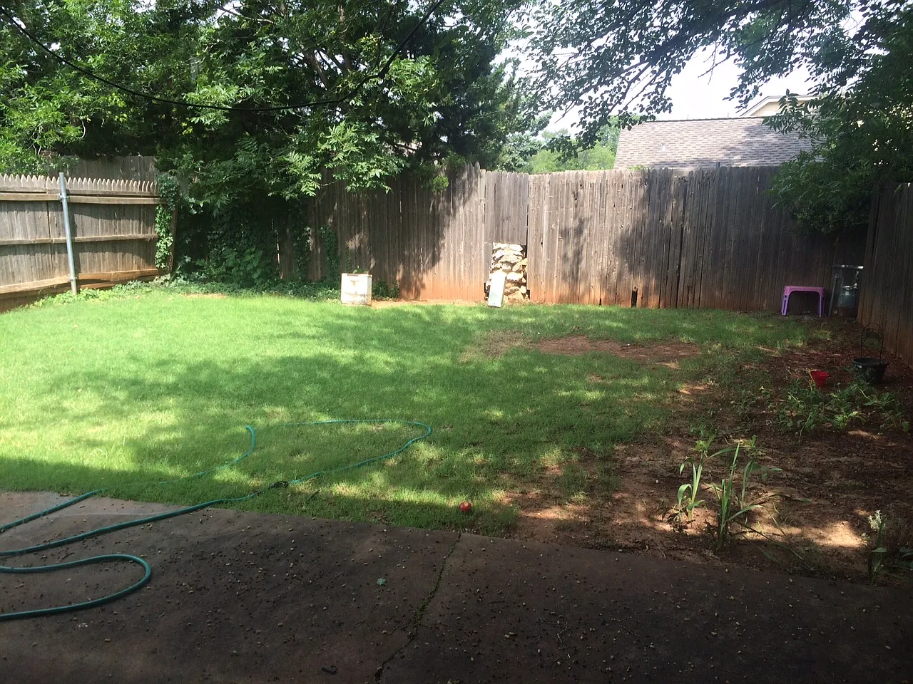 12333 Cedar Springs Lane - 1 — Photo 3
