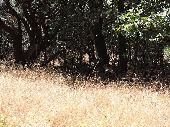 5th image of 0 Highway 190