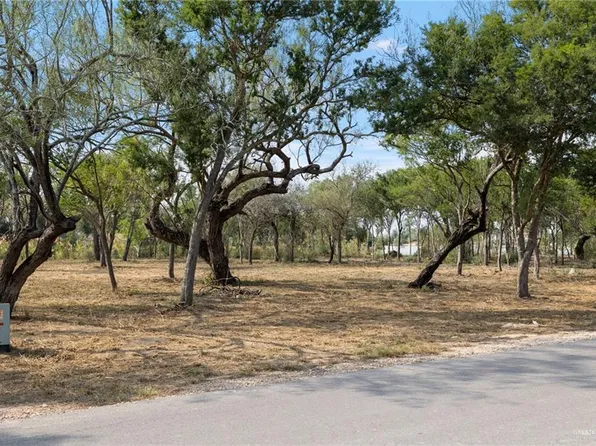 N/a Moon Lake Drive South Dr S, Weslaco, TX 78596