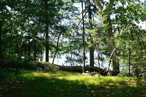 Charles River Lot 21