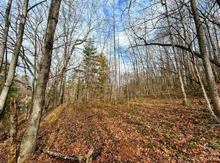 8 Azalea Way, Saluda, NC 28773