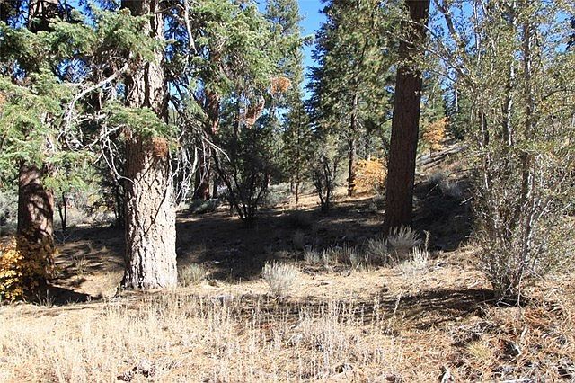 1st image of 946 Deertrail Ln