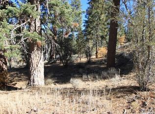 946 Deertrail Ln, Fawnskin, CA 92333