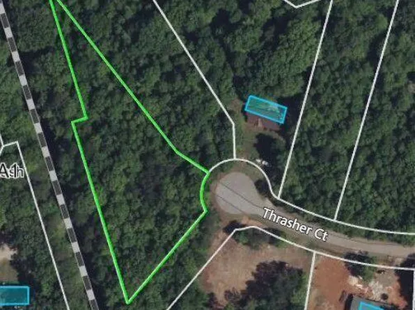 13165 Thrasher Ct, Zebulon, NC 27597