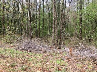 LOT B30 Scott Blvd #2, Stockbridge, GA