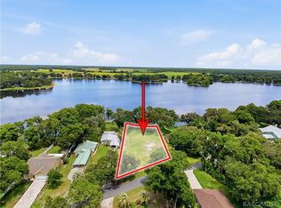 6941 S Aloysia Ave, Floral City, FL 34436