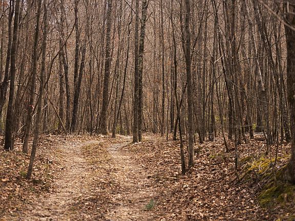 4th image of Polk Rd #615