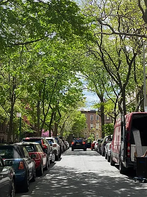 Rented by Georgine Podhorsky, LREB | media 24