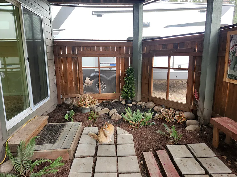Catio