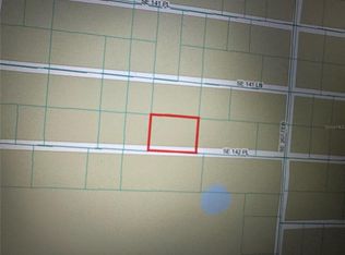 20701 SE 142nd Pl #61, Umatilla, FL 32784