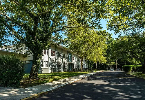 Ivy Square Photo 1