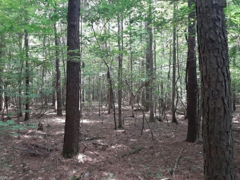 2nd image of 6636 Blackwater Rd