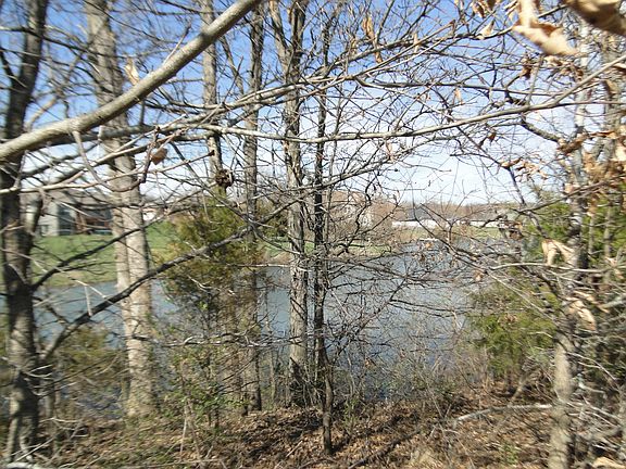 Lake 2, lot line in the lake