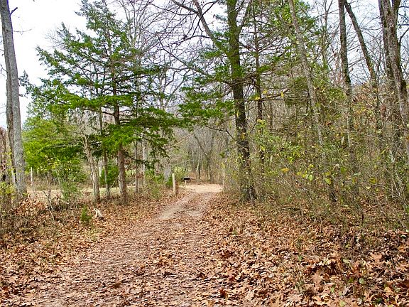 2nd image of County Road 231