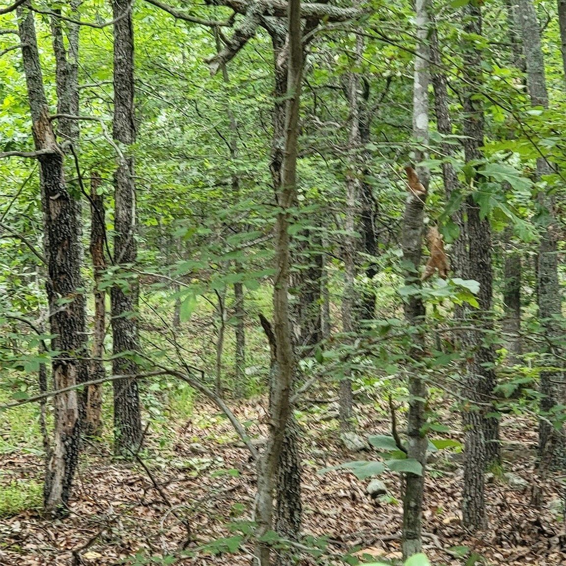 E 1115th Rd, Sallisaw, OK 74955 MLS 2331356 Zillow