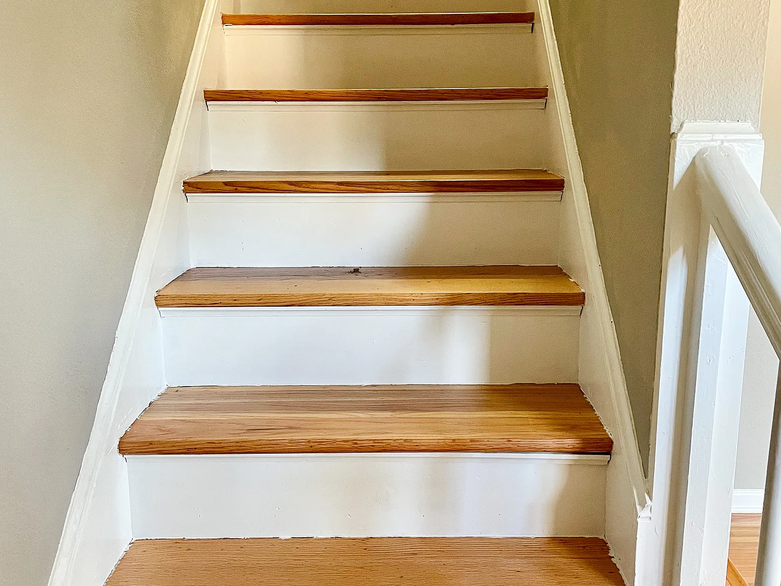 Meadowlark Apartments — Photo 4