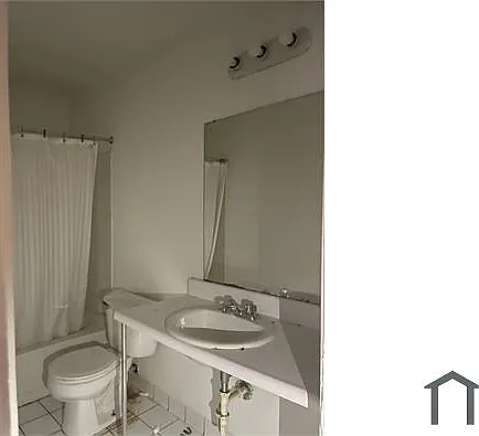 1 bed, $800 — Photo 2