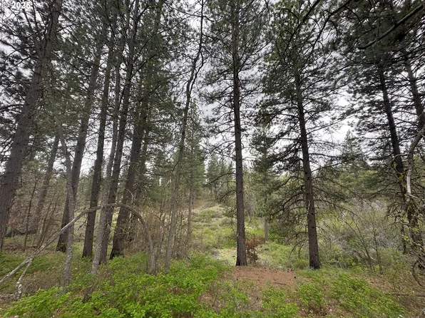 Bickleton Hwy, Bickleton, WA 99322