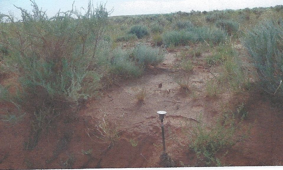 2nd image of River Meadows Ranch #Lot 141