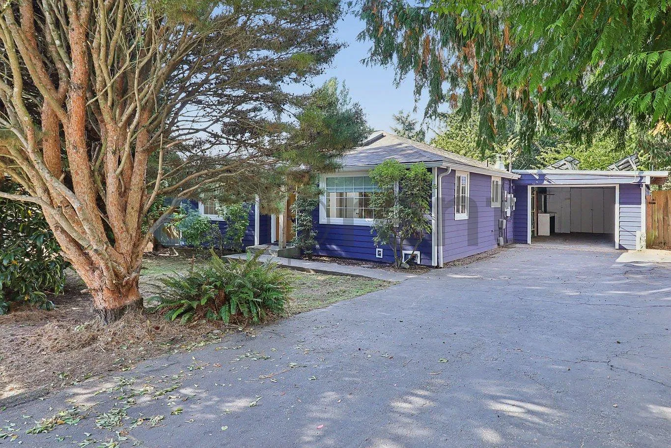 2 bed, 774 sqft, $2,900 — Photo 3