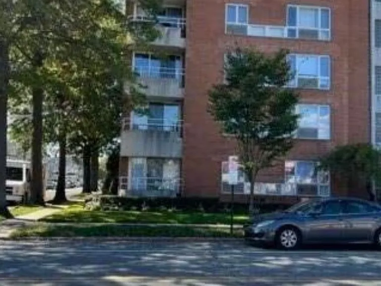 205 Mineola Blvd — Photo 13